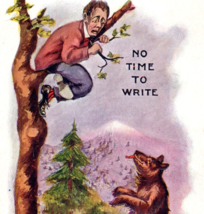 No Time To Write Bear Chased Man Up Tree Postcard Antique Vintage Humor ... - £11.73 GBP