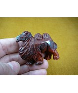 (Y-CAM-709) CAMEL camels red tan JASPER gem stone gemstone figurine DROM... - $435.86 MXN