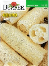 Best Gourd Luffa Vegetable Seeds Burpee  - $11.64 CAD