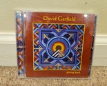 Giving Back di David Garfield (CD, ottobre 2005, Creatchy Productions) - £8.17 GBP