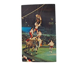 Postcard Ringling Brothers Barnum &amp; Bailey Circus Bareback Horse Bravado Chrome - £8.85 GBP