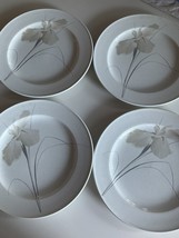 Mikasa Intaglio Upscale Salad Plates Set Of 4 CAC39 Ivory Iris 8 3/8” - £34.93 GBP