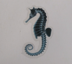 Seahorse X-Ray Transparent Sticker 2.38&quot; x 1.5&quot; (D) - $1.64