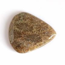 36.46 Carats TCW 100% Natural Beautiful Fossil Coral Pear cabochon Gem by DVG - £16.39 GBP