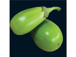 USA Applegreen Eggplant Green Fruit / Vegetable Solanum Melongena 25 Seeds - £8.78 GBP