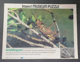 Vintage Scholastic Puzzle 1984 Insect Museum Grasshopper - $9.50