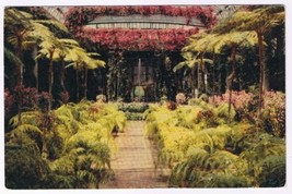 Postcard Longwood Gardens Kennett Square Pennsylvania - £3.10 GBP