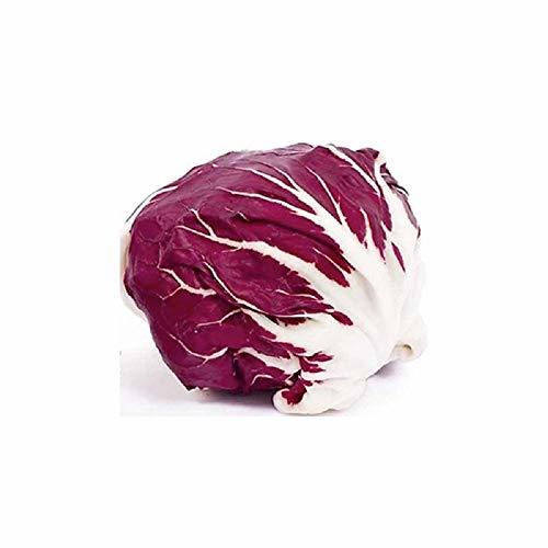Palla Rosa Radicchio Seeds - 100 Count Seed Pack - Non-GMO - A Common Vegetable