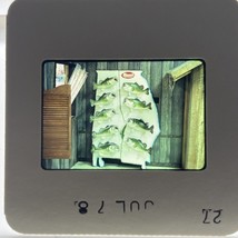 35mm Slide Mann’s Bait Company Sign Display 1978 - $115.83 MXN