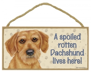 Wood Sign -   61982 - A Spoiled rotten -   Dachshund (Wire hair) Lives Here - £4.75 GBP