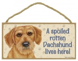 Wood Sign -   61982 - A Spoiled rotten -   Dachshund (Wire hair) Lives Here - £4.74 GBP