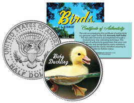 Baby Duckling *Collectible Birds* Jfk Kennedy Half Dollar Us Colorized Coin Duck - £6.81 GBP