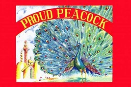 Proud Peacock - Art Print - £17.25 GBP+