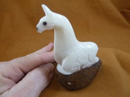 (TNE-LLA-642A) little white baby Llama farm TAGUA NUT nuts palm figurine... - £17.92 GBP