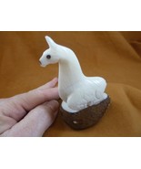 (TNE-LLA-642A) little white baby Llama farm TAGUA NUT nuts palm figurine... - £17.87 GBP
