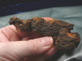 Item image 1 image 1