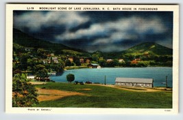 Moonlight Bat House Lake Junaluska North Carolina Linen Postcard Unused Mountain - $17.34