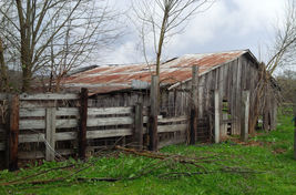 Item image 6