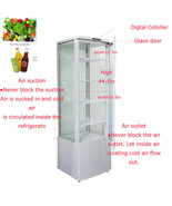 110V 62Gallon Vertical Refrigerated Cake Display Cabinet Automatic Defro... - $2,359.23 CAD