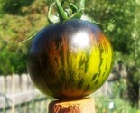 30 Seeds Green Zebra Tomato Seeds Heirloom Non Gmo Organic Fresh Fast Sh... - $8.99