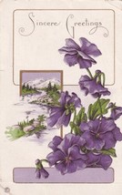 Sincere Greetings Purple Flowers Postcard C61 - $2.99
