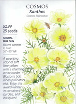 Xanthos Cosmos Seeds 25 Seeds Fresh Garden - £3.10 GBP