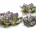 Succulent Flower Wall Plaques Set 3 Metal with Colored Tips Garden Fence... - $49.49