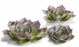 Succulent Flower Wall Plaques Set 3 Metal with Colored Tips Garden Fence... - £38.75 GBP