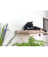 Wood Base Cat Wall Shelf FLAT 60 cm No matter standard - for hard, unifo... - $188.76