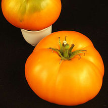 Ship From Us 50 Seeds - Tangerine Tomato Seeds - Heirloom, NON-GMO, TM11 - £18.24 GBP