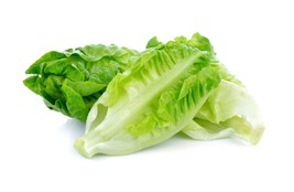 SEEDS = 250 SEEDS - Parris Island Cos Lettuce --Heirloom Romaine type - £3.18 GBP