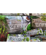 SuperLife SCC+ (SCC15) Colon Cleanser, Aid Weight Loss - 15 SACHET [DHL ... - £69.53 GBP