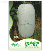 White Wax Gourd Vegetables 12 Seeds Edible Organic Chinese Fatmelon - $6.98