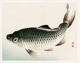 13006.Wall Decor Poster.Oriental home design.Kono Bairei Japan art.Carp fish - £12.74 GBP+