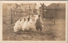RPPC Just Some Chickens Hen on the Homestead Real Photo c1908 Postcard Y14 - $8.95