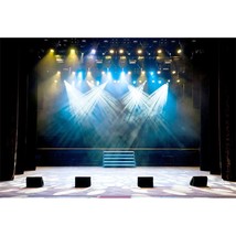 9X6Ft Luxury Stage Spotlight Backdrop Concert Live Plateform Banner Vintage Curt - $53.99