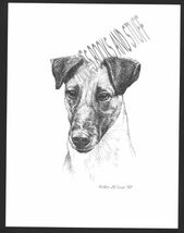 350 SMOOTH HAIR FOX TERRIER dog art print  Pen &amp; ink drawing * Jan Jellins - $12.50