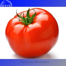 New Fresh Adelebe Bright Red Big Tomato Seeds Pack 100 Seeds Ts293T - $4.72