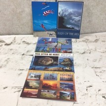 Collectible Postcard Lot Of 5 Oregon Coast Kites Sea Otters Beach Sunsets - £7.87 GBP
