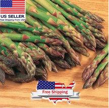 SEPT Mary Washington Asparagus Seeds (100 Seeds) Fresh Vegetable Seeds +... - $5.88