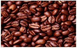 LAVANTA COFFEE GREEN COSTA RICA SHB EP TWO POUND PACKAGE - $38.95