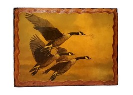 Canadian Geese in Flight in Frame 16 x 12 inches - £9.54 GBP