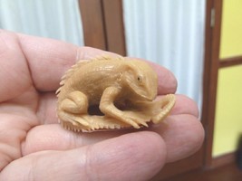 (tb-liz-1) Iguana Lizard Tagua NUT palm figurine Bali detailed carving i... - £38.62 GBP