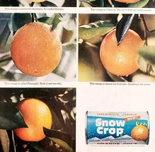 1965 Snow Crop Orange Juice Advertisement Frozen Concentrate Drinks DWII24 - $29.99