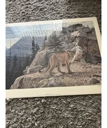 Vintage Brent Towsend Print Ragged Rock  1990 Limited Signed Rare 798/980 - $157.05 CAD