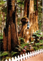 Vtg Postcard, Enchanted Forest,Friendly Elvs &amp; Little Squirrel, Revelstoke B.C. - £5.16 GBP
