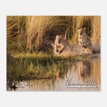 Okavango Delta Botswana Poster Wall Art  | Okavango Delta Home Decor | Okavango  - $19.99