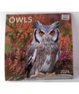 DAYSPRING  Owls Wall Calendar 2024 12&quot; X 24&quot; Includes 2025 Four-Month Ca... - £11.76 GBP