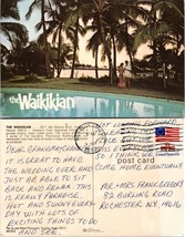 Hawaii Honolulu The Waikikian Hotel Palm Trees Posted 1982 Rochester NY Postcard - £7.43 GBP