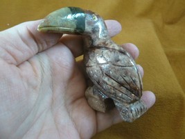 (y-bir-to-403) little tan Toucan tropical bird soapstone carving love to... - £13.98 GBP